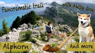 Top of Swiss tradition: Schynige Platte, travel with Akita Inu Chiyoko