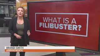 How a filibuster works