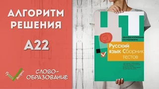 Видеоразбор ЦТ по Русскому [А22| 2015]