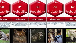 Probability Comparison: Rarest Animal Mutations Probability