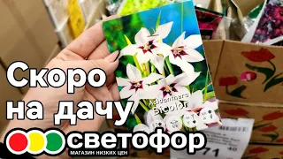 СВЕТОФОР 🚦 СКОРО НА ДАЧУ▶️ УСПЕТЬ  КУПИТЬ