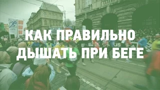 Советы бегунам. Как правильно дышать при беге