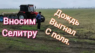 Дождь не даёт кормить пшеницу. Но мы прорвались. Вносим селитру.