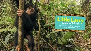 Chimp Little Larry Learns to Climb