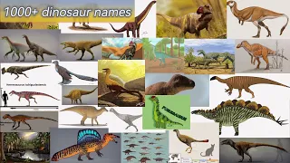 The FULL Dinosaur Alphabet