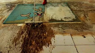 Astounding muddy flooding carpet cleaning satisfying rug cleaning ASMR