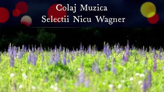 Colaj Muzica Crestina - Selectii Nicu Wagner