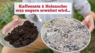 Vorteile & (oft verschwiegene) Gefahren von Kaffeesatz und Holzasche im Garten!