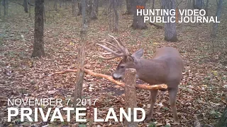 Private Land: Nov. 7 - Buck Encounters, Legendary Bowhunter tags an Iowa Buck | The Hunting Public