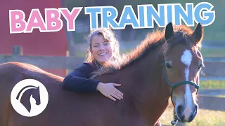 Easy Groundwork Exercises for Young Horses