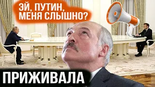 🔥 Макрон разглядел Путина. Лукашенко злится. Эпоха кривых людей | Жыве Беларусь! Слава Украине!