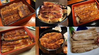 神奈川県で『丑の日にうなぎ』を食べるなら！？【2024年版 厳選6選】