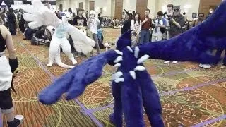 Lugia vs Shadow Lugia - A-kon 22