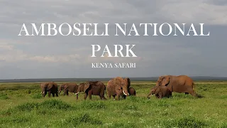 Amboseli - Kenya Safari Scenic Video