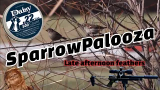 SparrowPalooza/ Artemis pp750