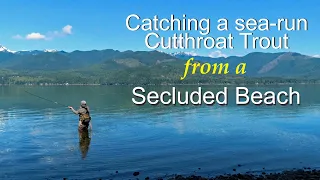 Catching a sea run cutthroat trout from a secluded beach