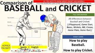 CRICKET Vs BASEBALL-Similarities Differences Explained-Basics & more-Complete Comparison&How to play