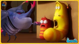 LARVA SEASON 2 EPISODE 524 | CARTOON COMEDY FOR LIFE | CARTOONS MOVIE NEW VERSION