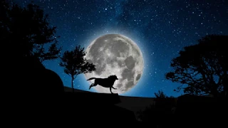 Project-0559__The wolf and the full moon animation in silhouette style