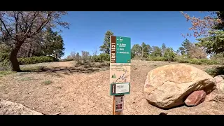 Fern Hiking Trail "IE31" A Beautiful Big Bear Lake, CA Hiking Trail. Serenity Personified.