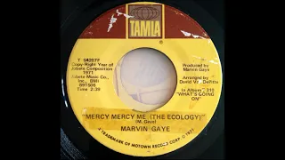 Marvin Gaye - Mercy Mercy Me (Jimmy Michaels Mix)