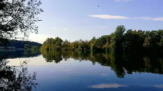 Спів птахів та легка музика / Звуки для душі та релаксу