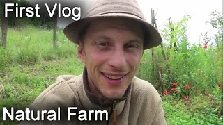 FUTURE FARM | SUSTAINABLE LIFE | OFF GRID | TRANSYLVANIA | ROMANIA | NATURAL BUILDING