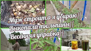 муж строит-я убираю//выкопала тюльпаны в начале мая//вечерняя управа