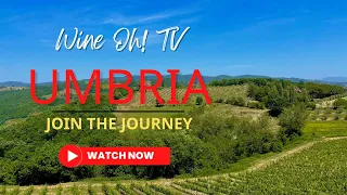 Uncovering Umbria: Italy's Undiscovered Wine Region
