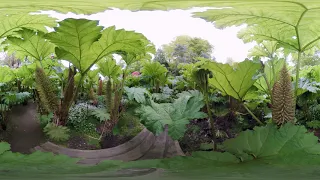 360 VR Trebah Garden