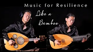 Like a Bamboo - Music for Resilience - Nao Sogabe