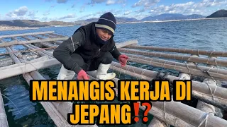 Realita Kerja Di Jepang Tak Seindah Foto Profil Sosmed‼️#viral #tki