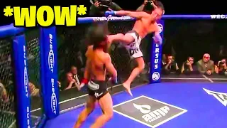 MOST CREATIVE KNOCKOUTS IN MMA HISTORY