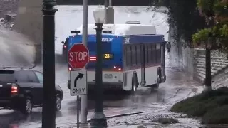 FAX Bus 1101 (Gillig BRT)