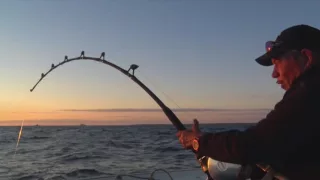 Henry tackles the giant Bluefin Tuna