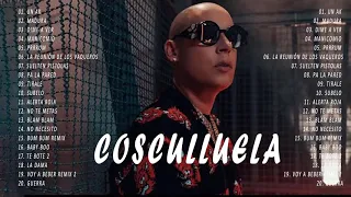 COSCULLUELA - Top 20 Hit Songs Exitos - Sus Mejores Éxitos Mix 2022