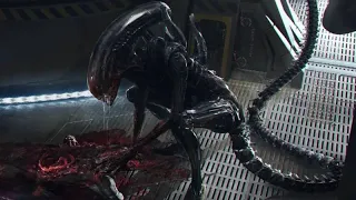 Wiki Aliens NEWS : Alien Romulus, ce que l'on sait