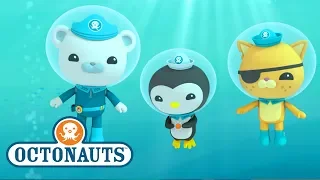 Octonauts - The Great Trio | Ocean Adventures| Cartoons for Kids | Underwater Sea Education