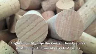Cork manufacture - Amorim