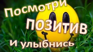 для поднятия настроения #приколы