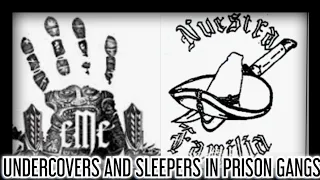 UNDERCOVERS AND SLEEPERS IN PRISON GANGS!!!! ARE THEY AROUND??? THEY NEVRR LEFT!!!