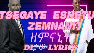 Tsegaye Eshetu !Zemnanit! -ፀጋዬ እሸቱ !ዘምናኒት! Ethiopian Music Lyrics video #ditawmusiclyrics #ethiopian