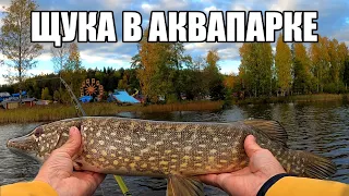 Щука в аквапарке. Рыбалка в Финляндии.