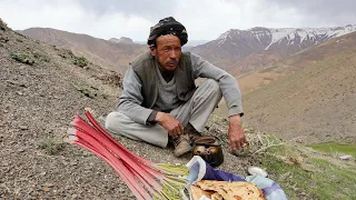 Living the Village Lifestyle in Afghanistan | Mountain Rhubarb Picking