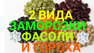 Как хранить фасоль и горох в морозилке/2 вида заморозки/что можно хранить в морозилке