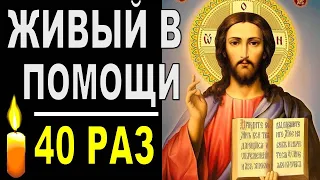 Живый в помощи 40 раз 90 псалом. Сильный Оберег от врагов, зависти и нечистой силы. Псалом 90