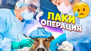 ЛАКИ СДЕЛАЛИ ОПЕРАЦИЮ!! ЧТО СЛУЧИЛОСЬ??