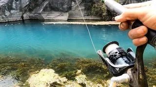 Pequeñas especies en este río muy limpio