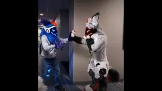 #furrytrash #fpy #tiktok #furries #shorts #youtubeshorts #furcon #furryfandom #toaster