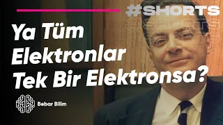 Ya Tüm Elektronlar Tek Bir Elektronsa?